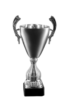 Trophy of Excellence